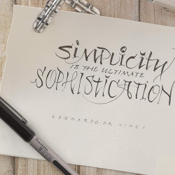 Kuretake Fudegokochi ecsettoll (LS1-10S), kemény hegyű szépíró toll, fekete tinta, közepes vastagság